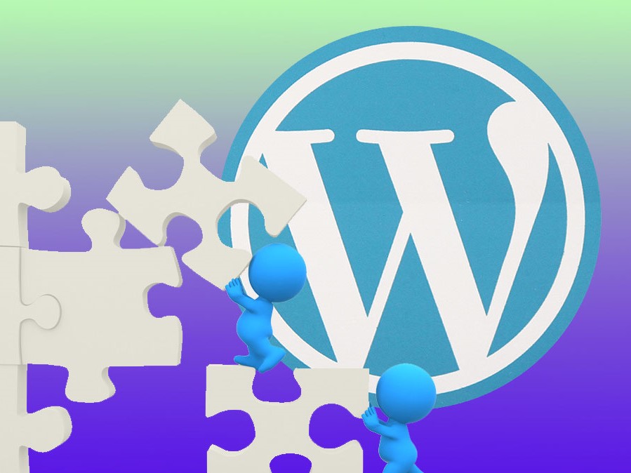 WordPress Themes & Plugins